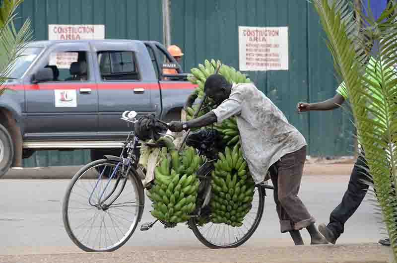 33 - Uganda - transporte de platanos en bicicleta